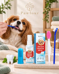 Pawlour Fresh Smile Dental Kit